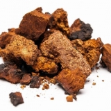 Detaljne upute kako pravilno sakupljati i sušiti čagu kod kuće